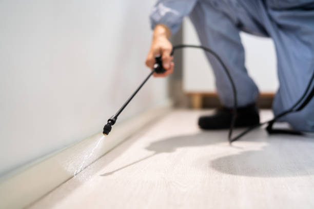 Licensed Pest Control service in Richwood, OH - Show Me Pest Control