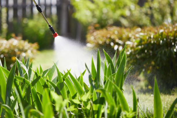 24/7 Emergency Mosquito Control experts in Richwood, OH